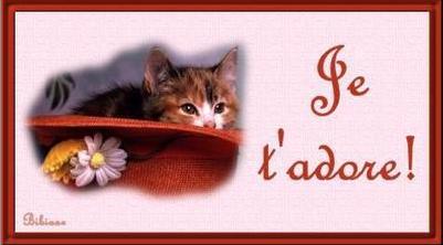 pour tous ce que jadore!!!!